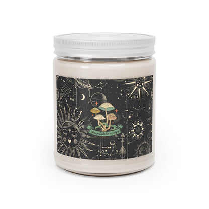 You Put the Fun in Fungus Scented Candles, 9oz